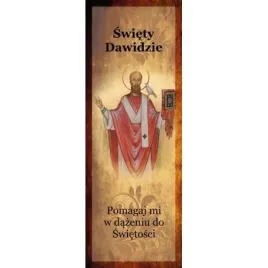 zakladka-11-sw-dawid