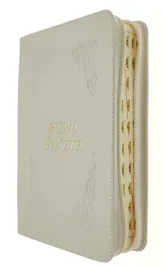 pismo-swiete-z-kolorowa-wkladka-paginowane-w-skorzanej-oprawie-ecru