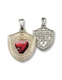 medalik-tarcza-najswietszego-serca-pana-jezusa