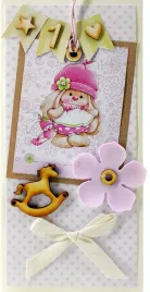 karnet-premium-prostokat-17-roczek-dziewczynka