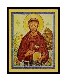 patron-20-ekologow-sw-franciszek
