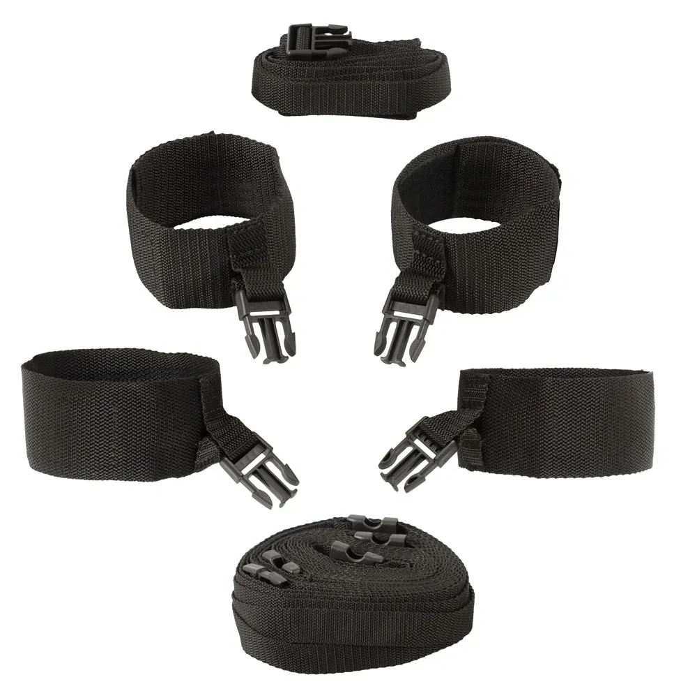 bad-kitty-door-andbed-restraints