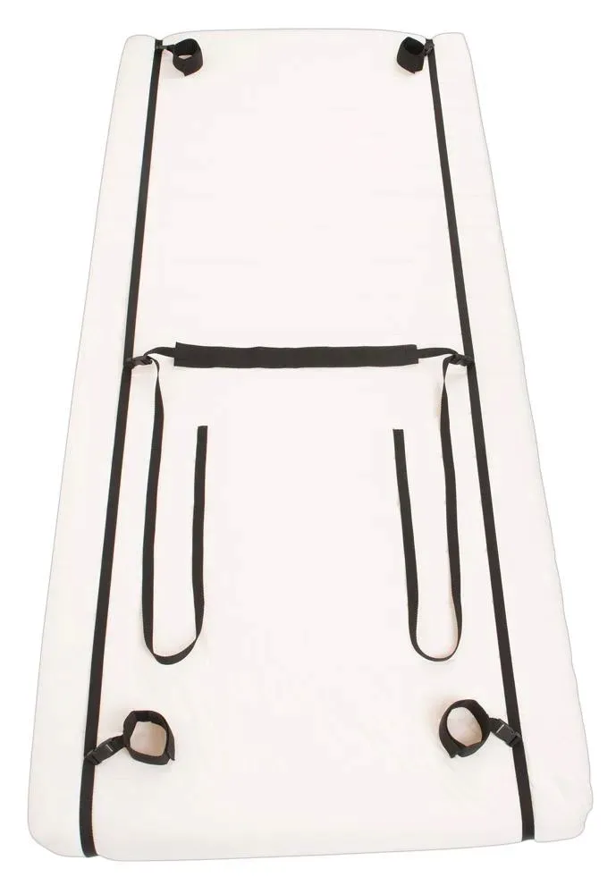 bad-kitty-door-andbed-restraints