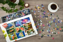juwel-puzzle-ryby-morskie-akwariowe-1000-elementow