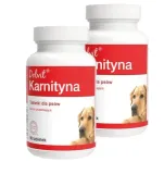 dolvit-karnityna-2x90-tabletek