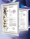 etui-case-kingxbar-swarowski-do-iphone-12-pro-max-dedykowany-model-iphone-12-pro-max