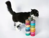 fish4cats-mokra-tunczyk-ser-70g-karmy-specjalne-nie-dotyczy