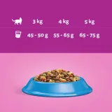 whiskas-sucha-tunczyk-7kg-wiek-zwierzecia-koty-dorosle