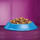 whiskas-sucha-tunczyk-7kg-waga-produktu-wiecej-niz-5-kg-do-10-kg