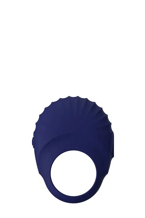 blue-evolution-pallas-stan-nowy