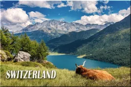 szwajcaria-switzerland-magnes-magnesy-na-lodowke-01