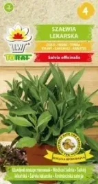 szalwia-lekarska-1-g-nasiona-ziola