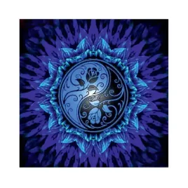 diamond-painting-haft-diamentowy-yin-yang-25x25-cm-s158