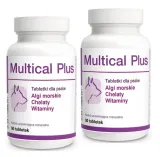 dolvit-multical-plus-2x90-tabletek