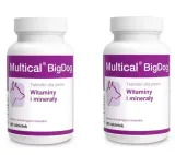dolvit-multical-bigdog-2x90-tabletek