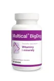 dolvit-multical-bigdog-2x90-tabletek