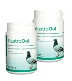 dolfos-gastrodol-2x300g