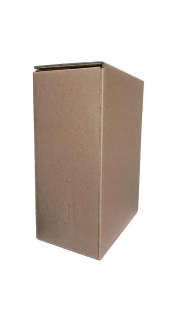 sadvit-karton-na-sok-5l