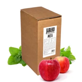 sok-dla-dzieci-jablko-mieta-naturalny-100percent-5l