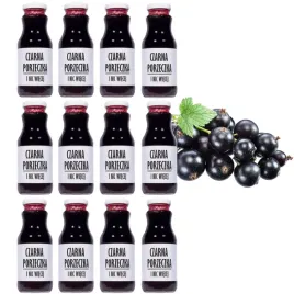 100percent-sok-tloczony-z-czarnej-porzeczki-nfc-12x250ml