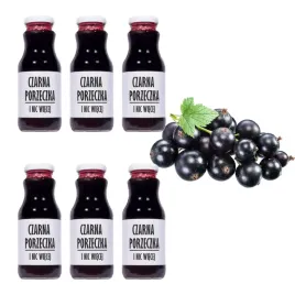 czarna-porzeczka-100percent-owocow-bez-cukru-6x250ml