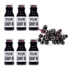 sok-z-dzikiego-bzu-100percent-nfc-czarny-bez-6x250ml