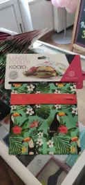 lunch-cooler-bag-koala-18cmx18cm-tukan-zielony