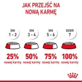 royal-canin-kitten-2kg-wiek-zwierzecia-kocieta-i-mlode-koty