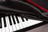 behringer-poly-d-narzuta-na-syntezator