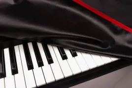behringer-poly-d-narzuta-na-syntezator