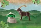 playmobil-wiltopia-71050-koziorozec