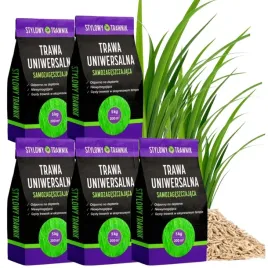 trawa-nasiona-uniwersalna-zageszczajaca-nasiona-odporna-25kg-1000m2