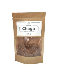 chaga-grzyb-suszony-100g-witalnosc-odpornosc-antyoksydanty