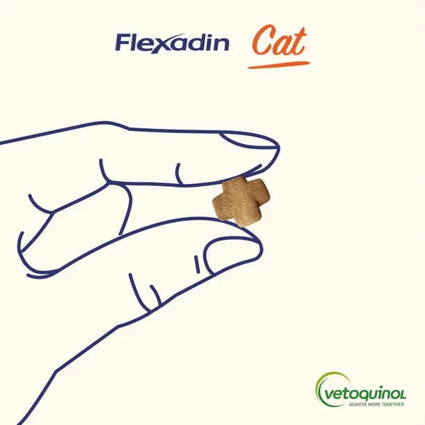 vetoquinol-flexadin-cat-60kaskow