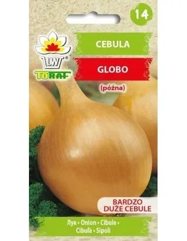 cebula-nasiona-globo-2g