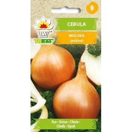 cebula-nasiona-wolska-5g-rodzaj-rosliny-inny