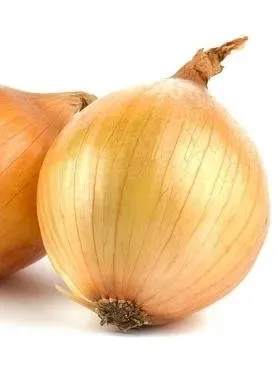 cebula-nasiona-wolska-5g-rodzaj-rosliny-inny