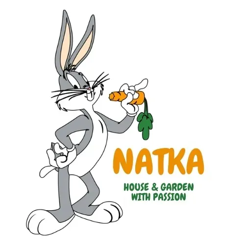 cebula-nasiona-wolska-5g