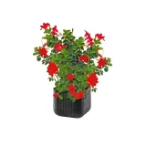 keter-doniczka-donica-cube-planter-m-antracyt