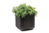 keter-doniczka-donica-cube-planter-m-antracyt