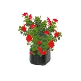 keter-doniczka-donica-cube-planter-m-antracyt