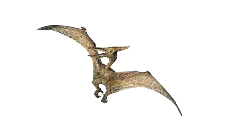 figurka-kolekcjonerska-pteranodon-papo