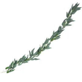 girlanda-wierzba-partydeco-200-cm