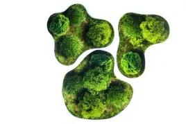 tereny-do-gier-bitewnych-warmachine-and-hordes-age-of-sigmar-las