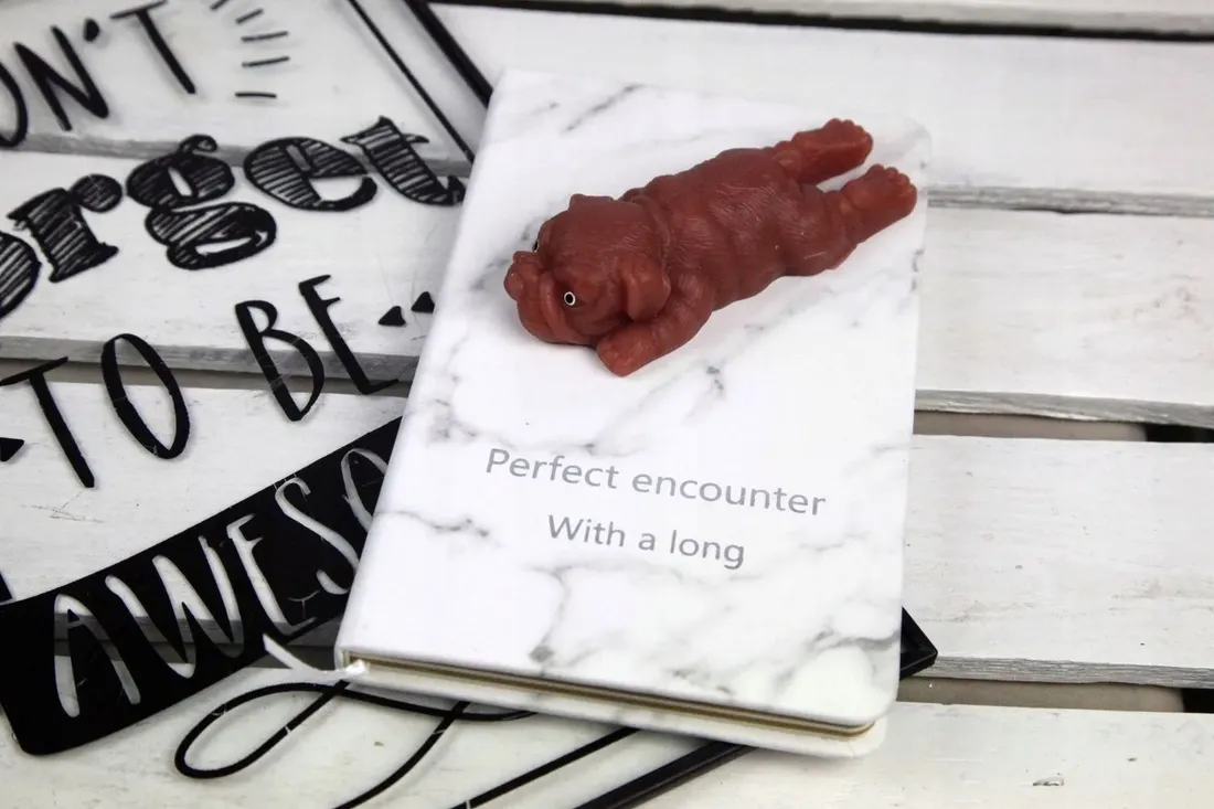 zeszyt-notes-pamietnik-pop-it