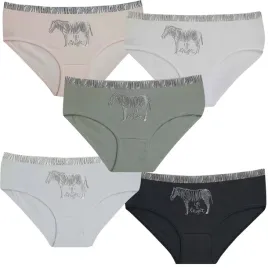 5-sztuk-majtki-figi-damskie-xl