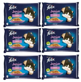 felix-fantastic-junior-w-galaretce-z-kurczakiem-i-lososiem-12x-4x85g