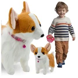 interaktywny-pies-piesek-na-smyczy-chodzi-szczeka-zabawka-na-prezent-corgi