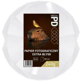 papier-fotograficzny-10x15-240g-m-blyszczacy-100-szt-inkjet-4r-extra-blysk