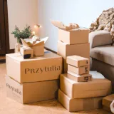 termometr-do-pieczenia-miesa-bitumiczny